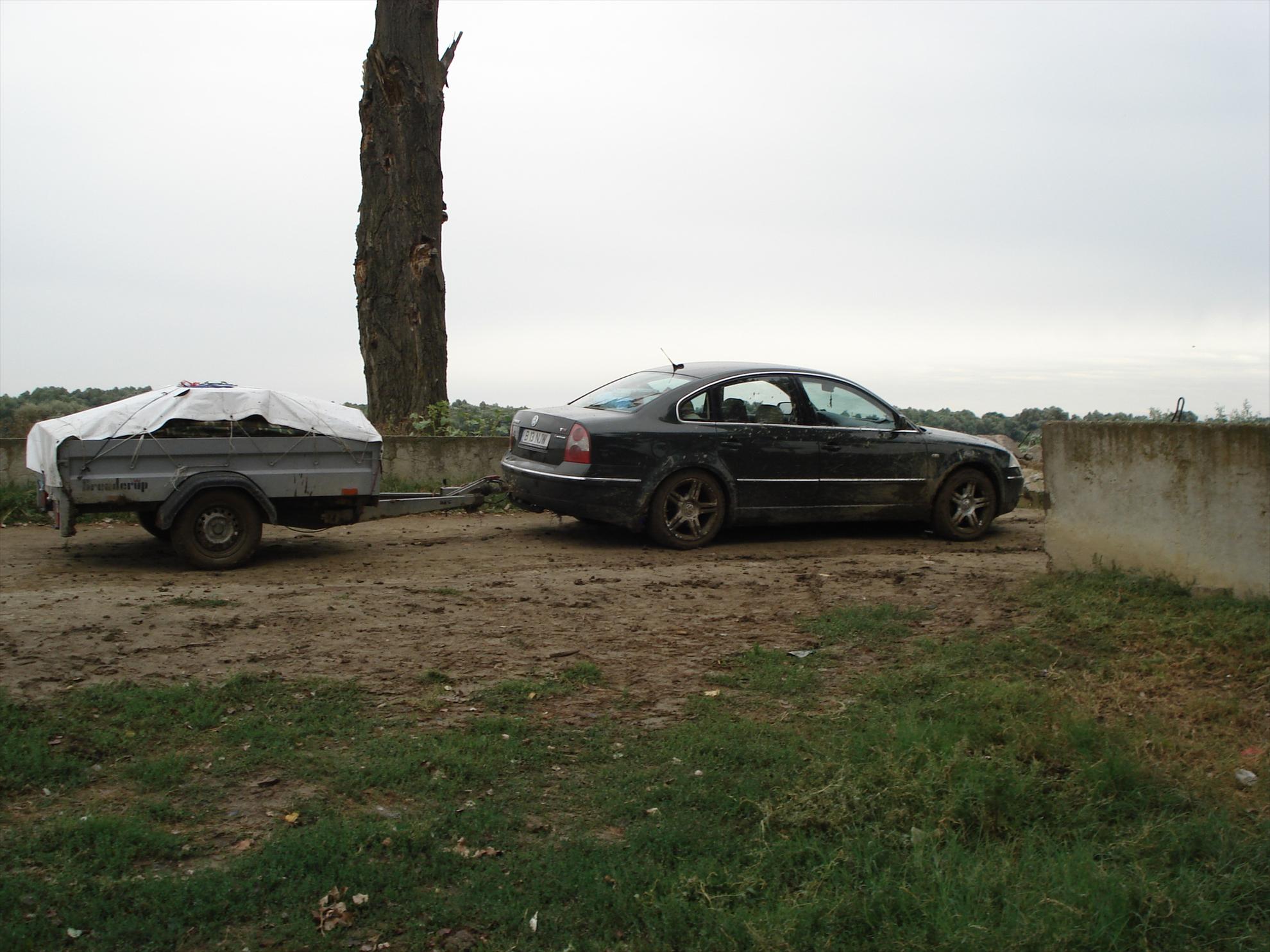 De prin delta adunate - dsc02793.JPG